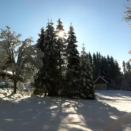 Pensión Schachten 3*